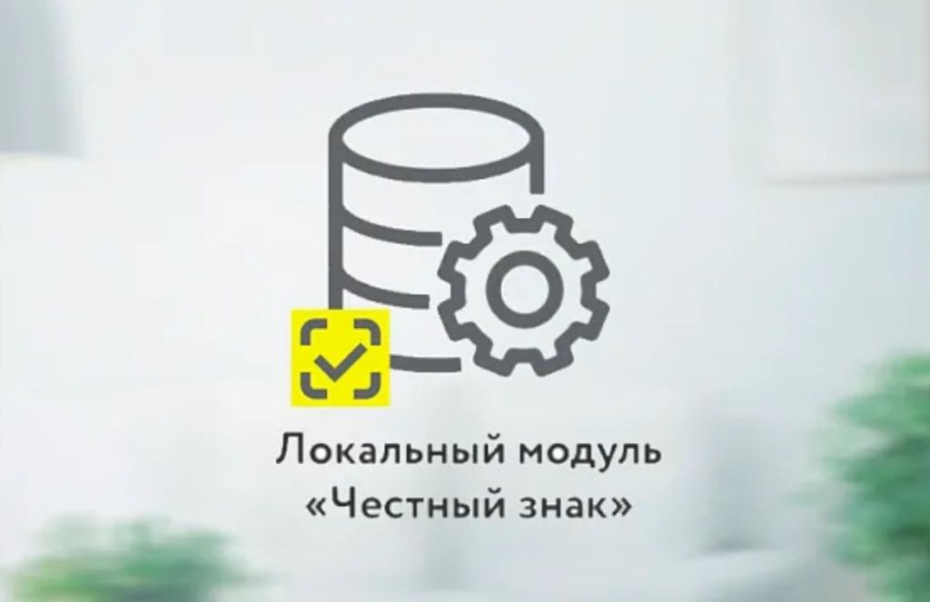 локальный модуль.jpg